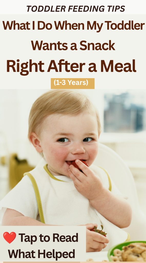 What I Do When My Toddler Wants a Snack Right After a Meal (1–3 Years) Toddler holding a snack shortly after a meal, illustrating a common feeding challenge where toddlers ask for snacks right after eating.